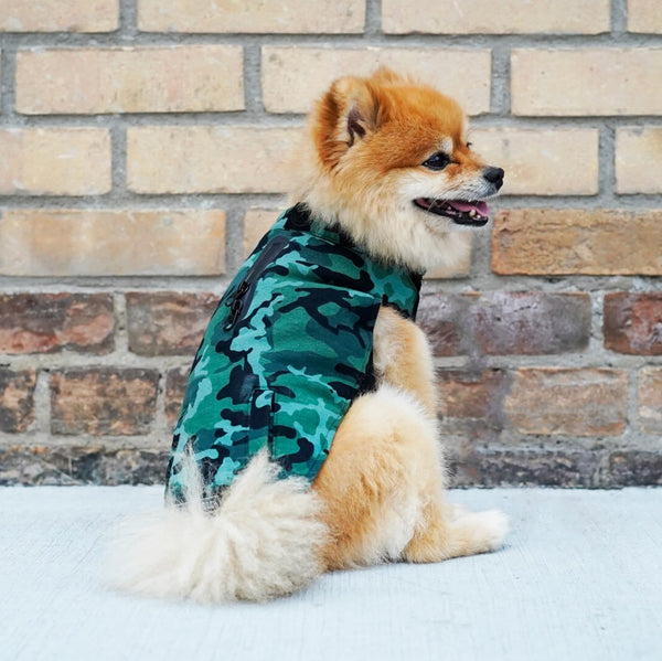 Thermal dog clothes best sale