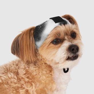 Tie Dye Hat in Black & White Tie Dye, Canada Pooch Dog Hat