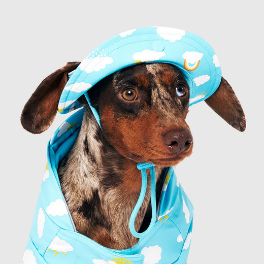 Torrential Tracker Rain Hat Wet Reveal in Wet Reveal Blue Clouds, Canada Pooch Dog Hat