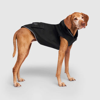 Torrential Tracker in Black, Canada Pooch Raincoat