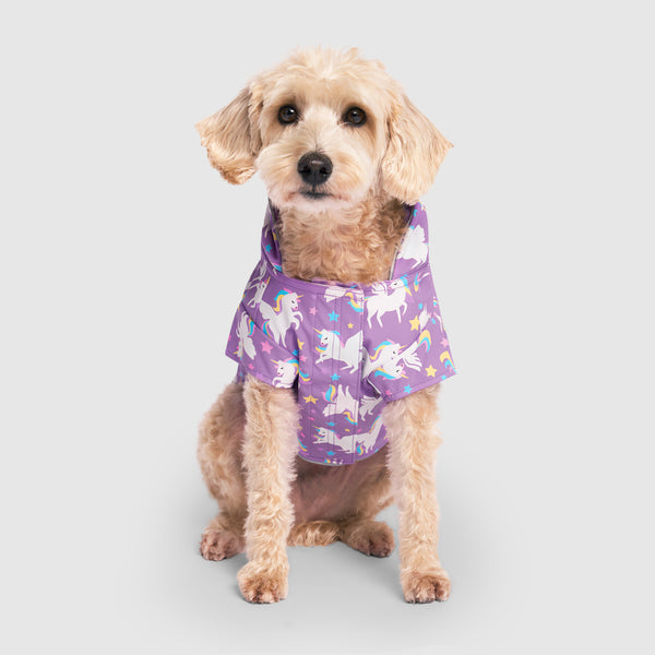 H&m dog raincoat shop
