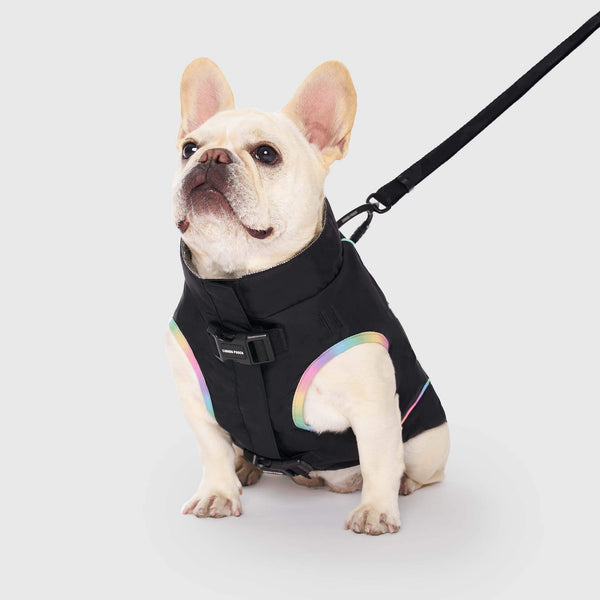 French bulldog barbour coat shop
