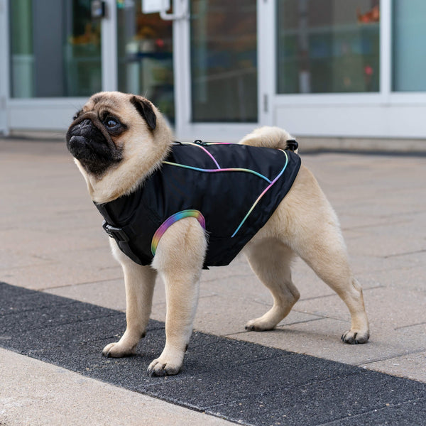 Dog parka coat outlet