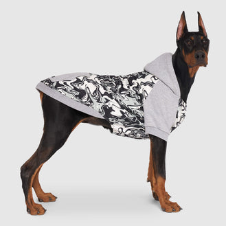 Whatever the Weather Hoodie in Glow In The Dark, Canada Pooch Dog Hoodie