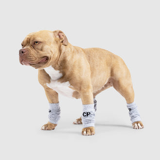 Work It Dog Leg Warmers in Grey, Canada Pooch Dog Leg Warmers