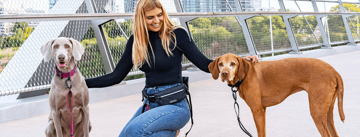 Are Hands-Free Dog Leashes Right for You?