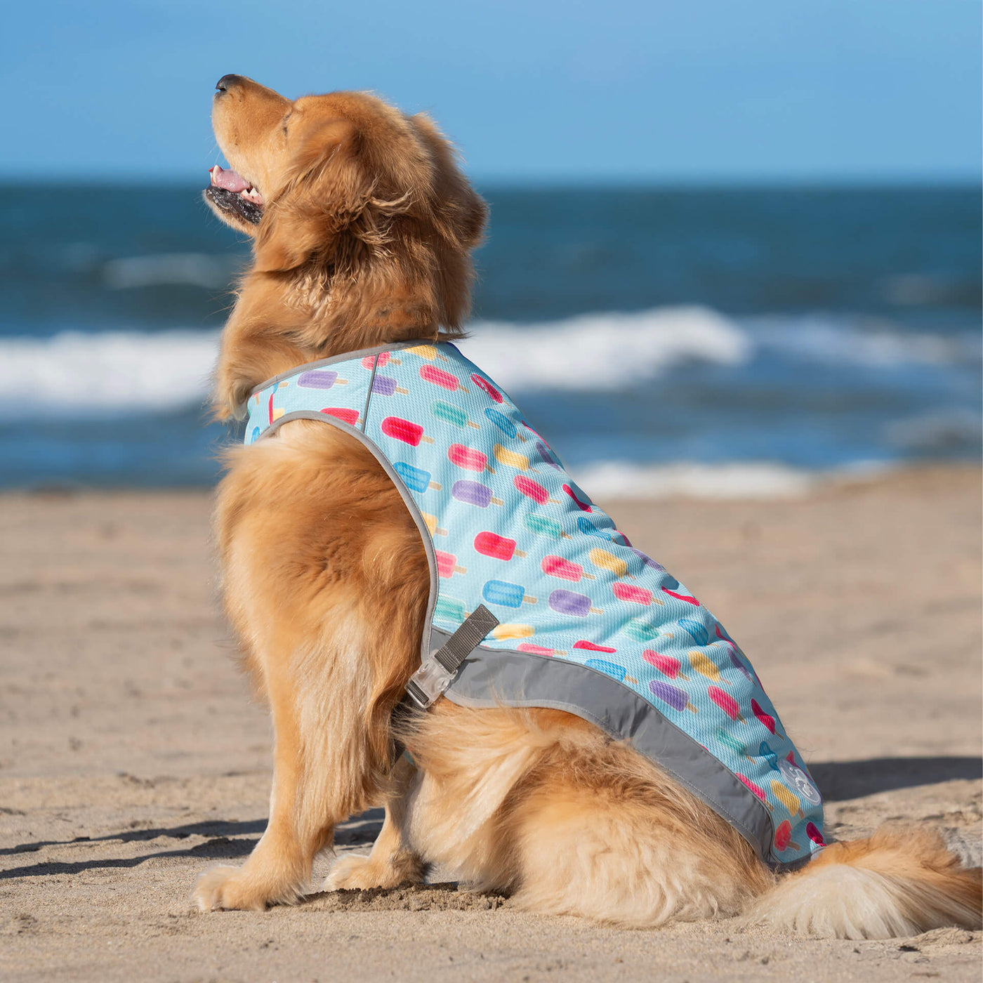 How to Keep Dogs Cool in Hot Weather