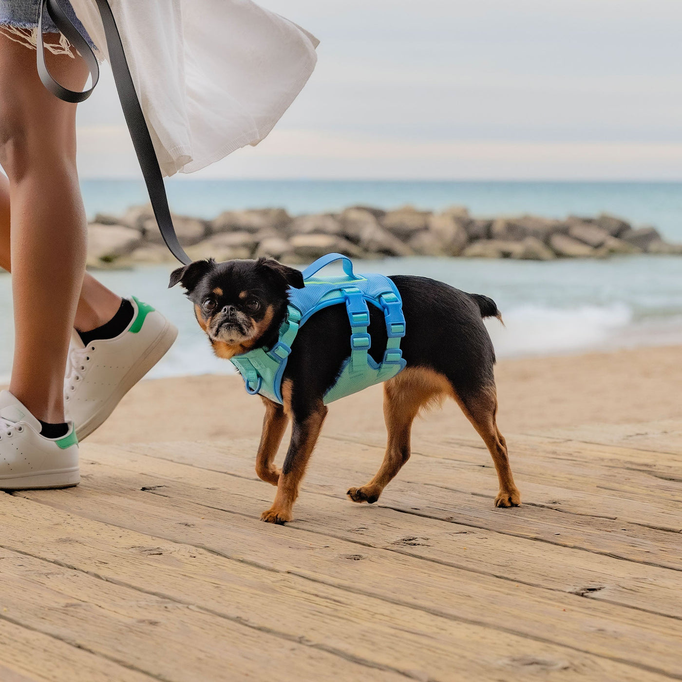 Dog wearing the Max Chill Cooling Harness from Canada Pooch