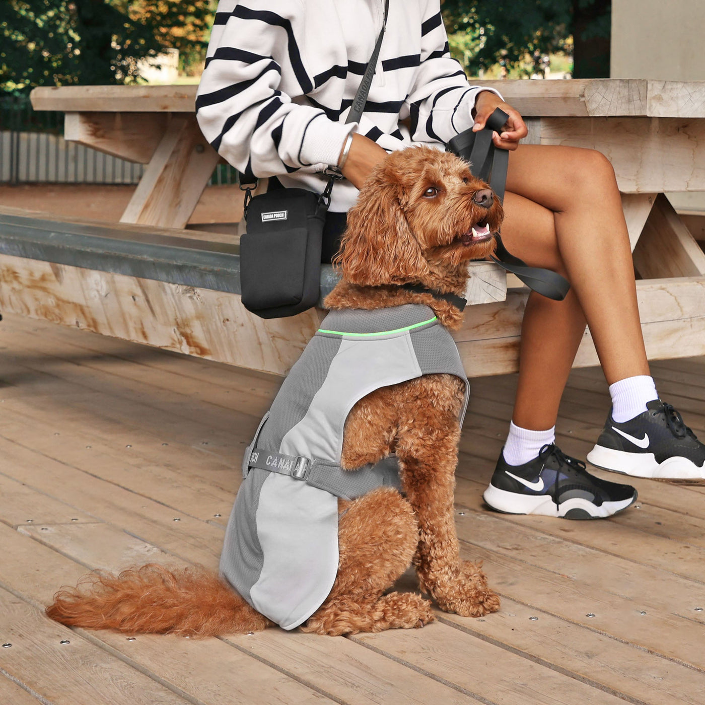 Dog wearing the Max Chill Cooling Vest from Canada Pooch