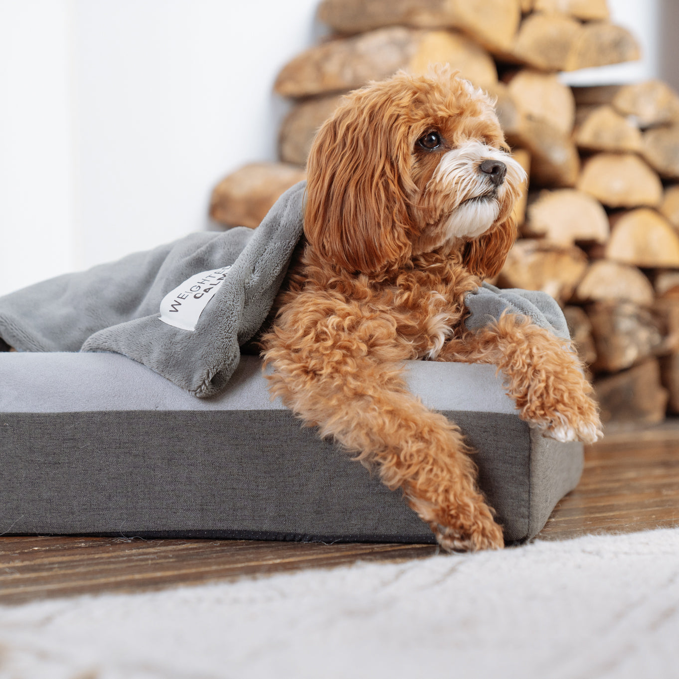 Small dog using Calming Weighted Blanket from Canada Pooch