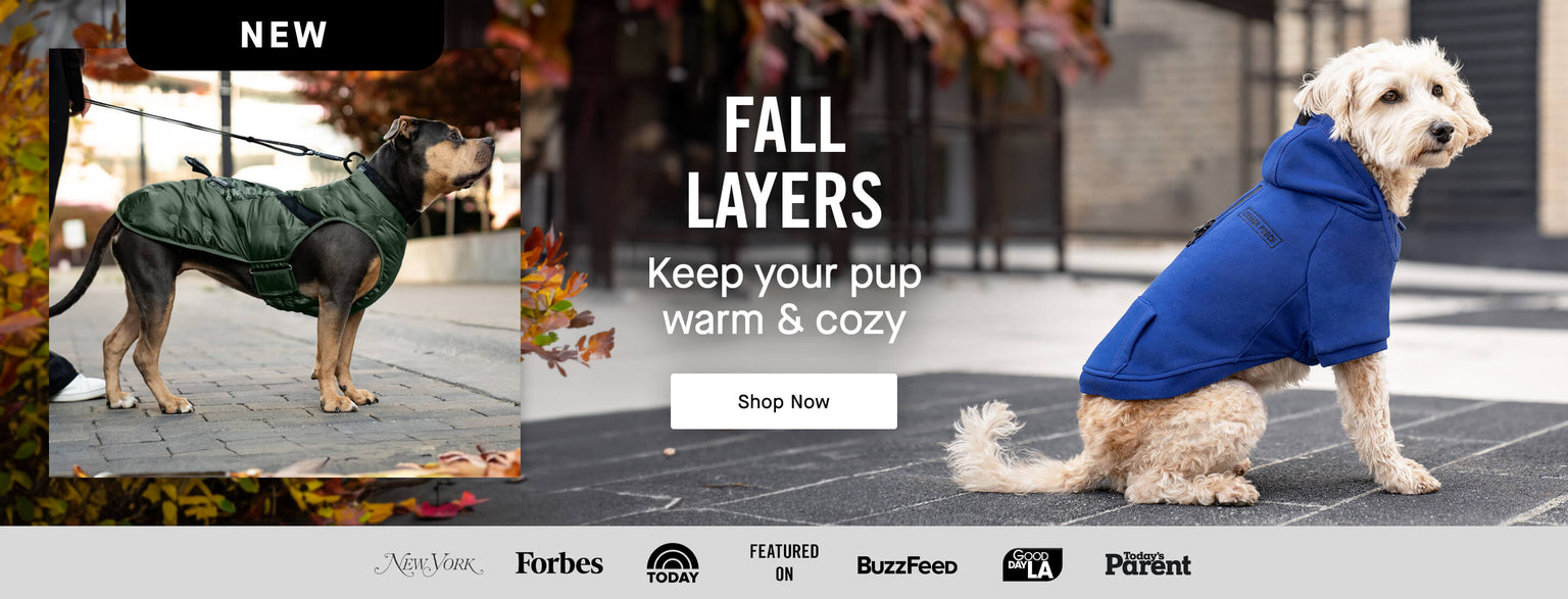 Canada Pooch Dog Clothes and Accessories Dog Apparel