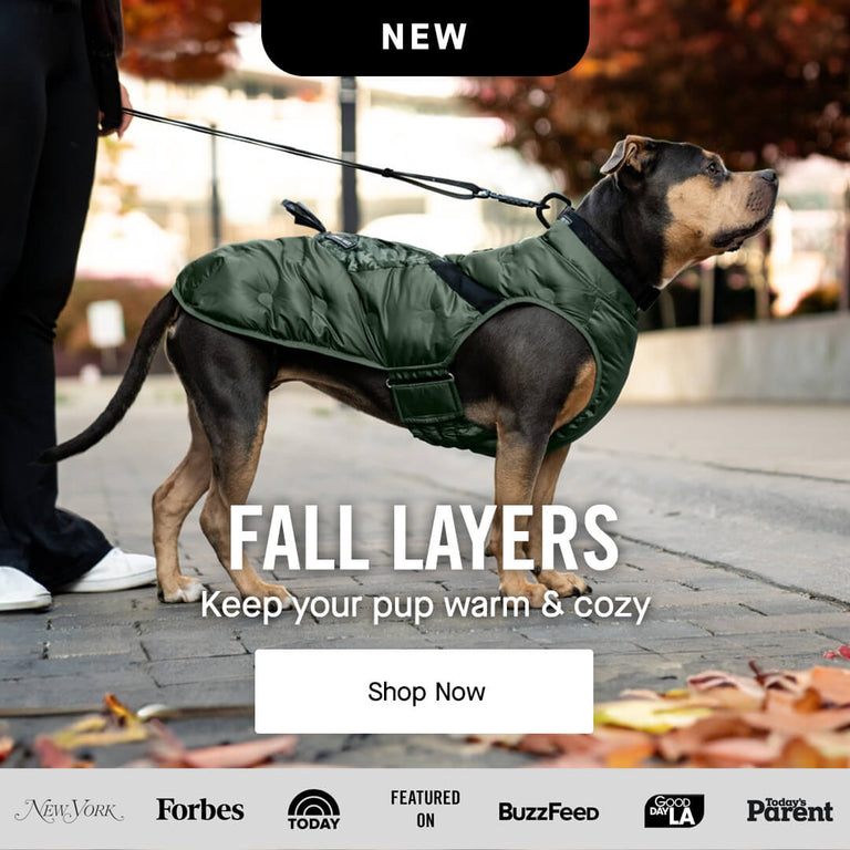 Canada Pooch Dog Clothes and Accessories Dog Apparel