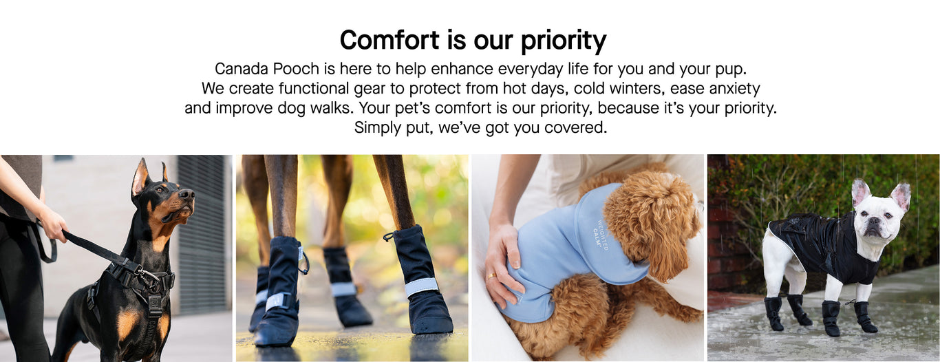Canada Pooch Dog Clothes and Accessories Dog Apparel