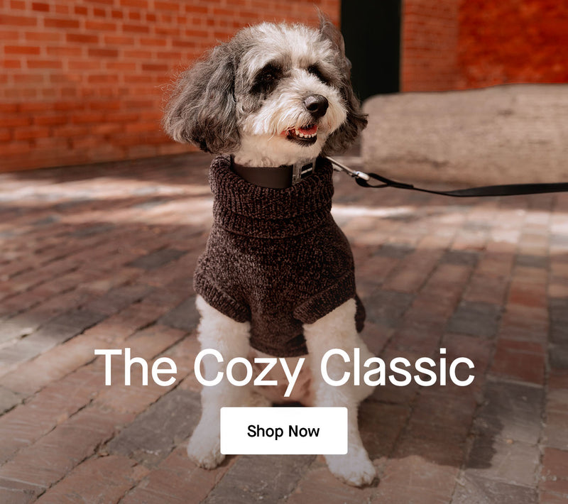 Dog wearing a sweater from Canada Pooch