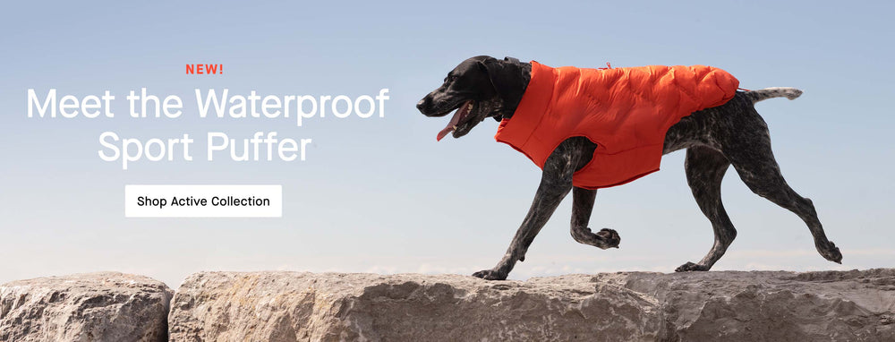 Dog wearing the Waterproof Sport Puffer in Cayenne from Canada Pooch