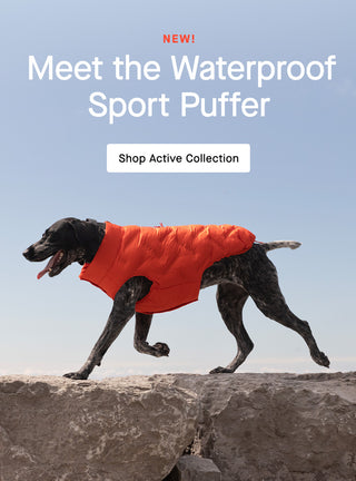 Dog wearing the Waterproof Sport Puffer in Cayenne from Canada Pooch