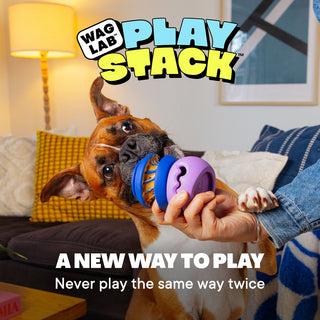 Dog playing with PlayStack toys from WAGLAB