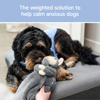 Weighted Calming Toy in Grey, Canada Pooch, Dog Calming|| color::grey-lamb|| size::na