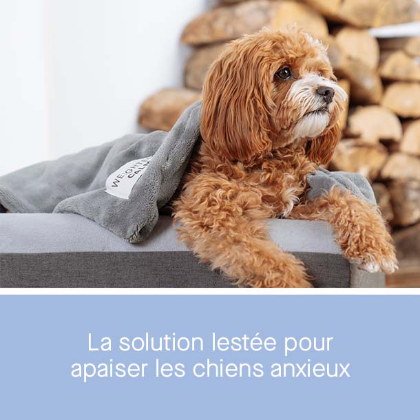 Couverture Pour Chien/Chat Rose à Pattes - 52x76 Cm - Tissu Doux - Pour Panier, Canapé, Voyage