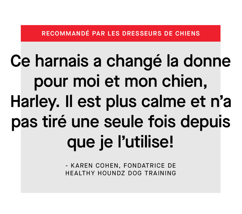 Éducateur canin recommandé