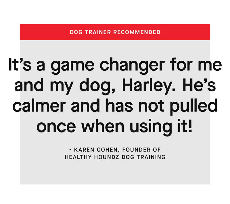 Dog trainer reccomended