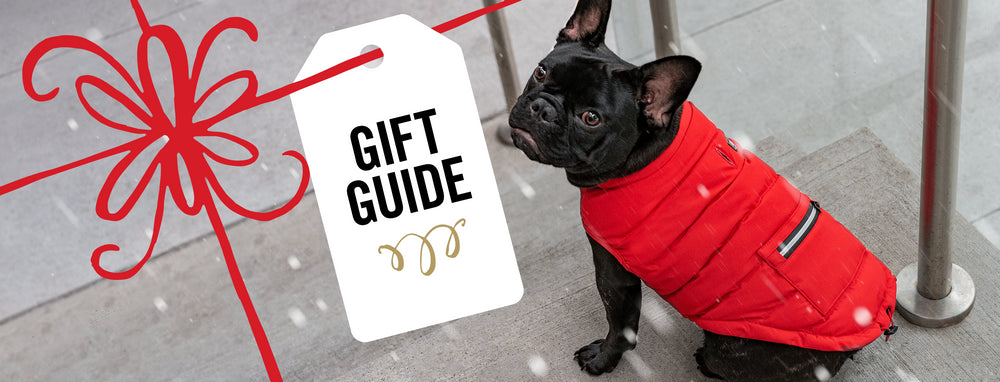 Which parka is right for your dog?