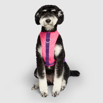Chill Seeker Cooling Harness in Neon Pink, Canada Pooch Dog Harness