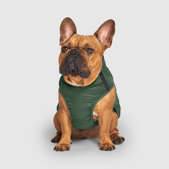 Commuter Vest in Green Camo, Canada Pooch Dog Vest|| color::green-camo|| size::18|| name:: Jocko the French Bulldog|| weight::38