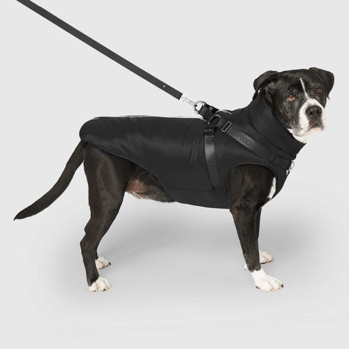 Complete Control Harness Winter Jacket in Black, Canada Pooch, Dog Parka|| color::black|| size::28|| name:: Cowboy the Bullmastiff Mix|| weight::92
