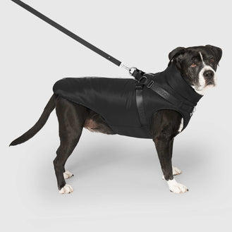 Complete Control Harness Winter Jacket in Black, Canada Pooch, Dog Parka