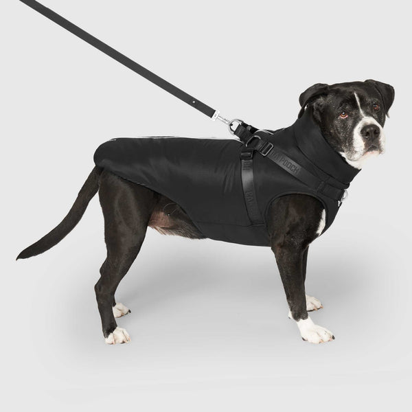 Complete Control Harness Winter Jacket – Canada Pooch