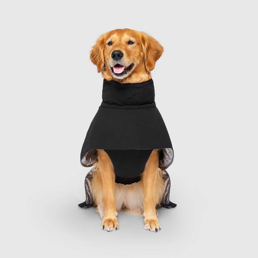 Complete Coverage Winter Dog Coat Canada Pooch Black 28