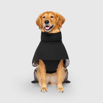 Complete Coverage Winter Coat in Black, Canada Pooch Dog Coat|| color::black|| size::24|| name:: Nala the Golden Retriever|| weight::60