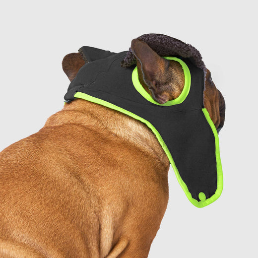 Cool Factor Aviator Hat – Canada Pooch