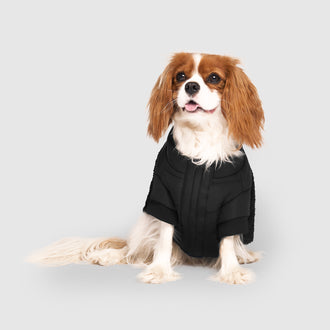 Cool Factor Puffer in Black, Canada Pooch Dog Parka|| color::black|| size::14|| name:: Lizzie B the Cavalier King Charles Spaniel|| weight::13