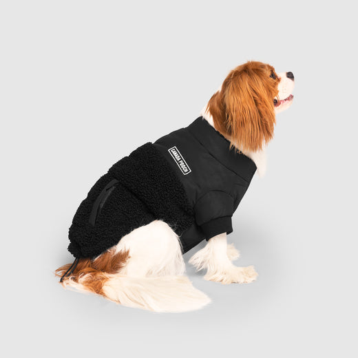 Cool Factor Puffer in Black, Canada Pooch Dog Parka