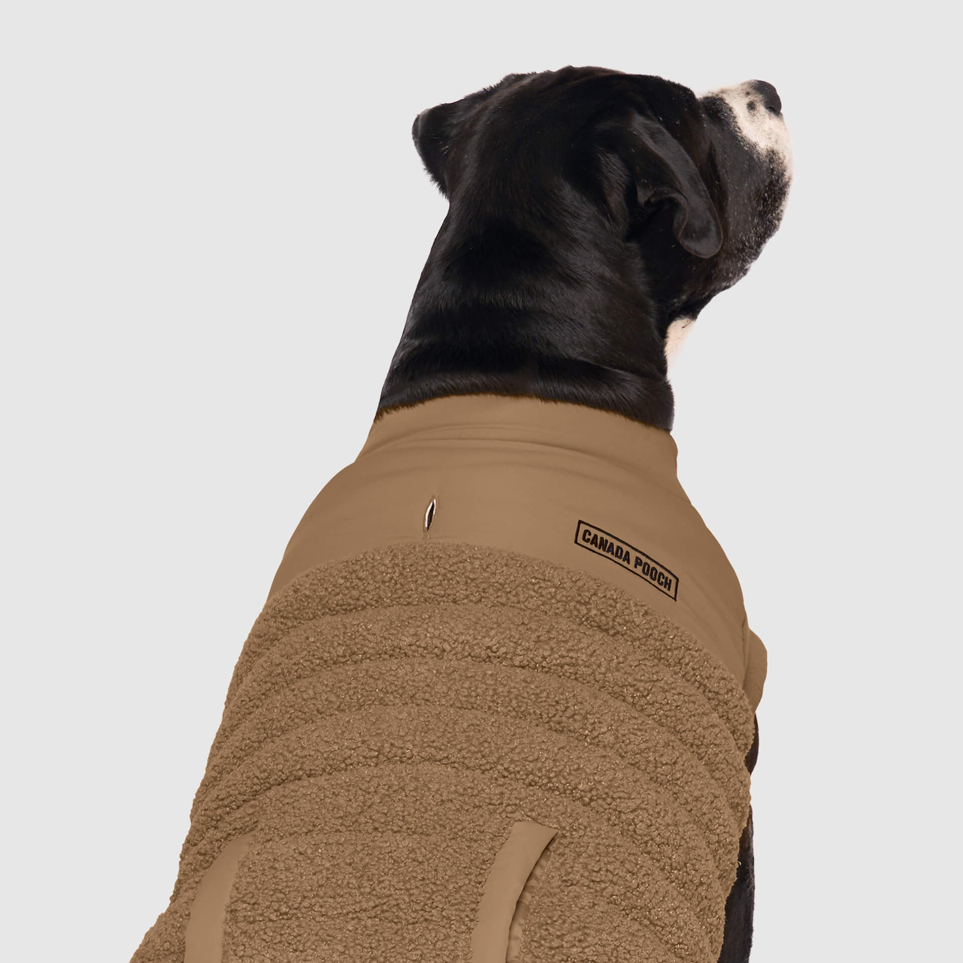 Cool Factor Sherpa Dog Coat | Canada Pooch