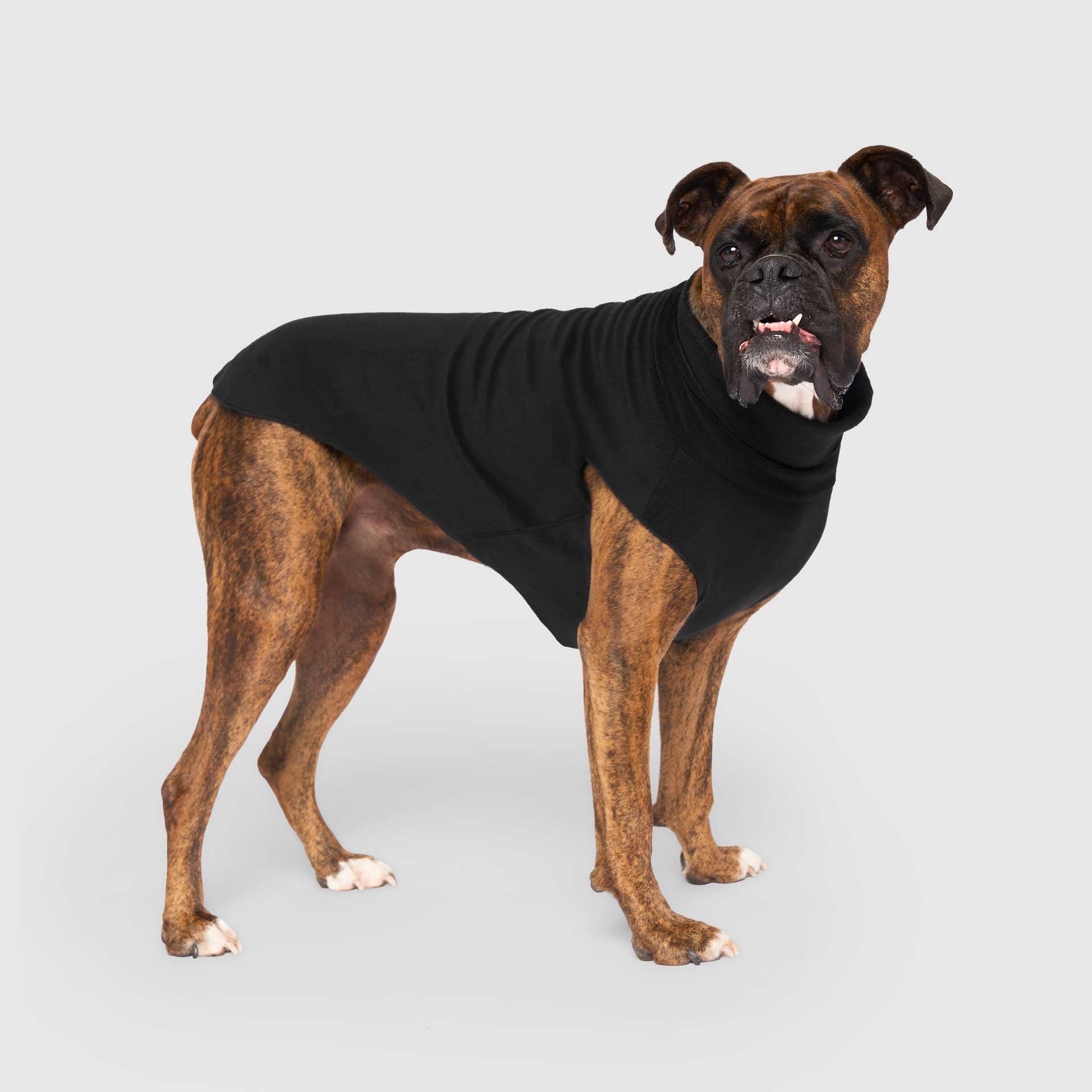 Canada pooch sweater fashion