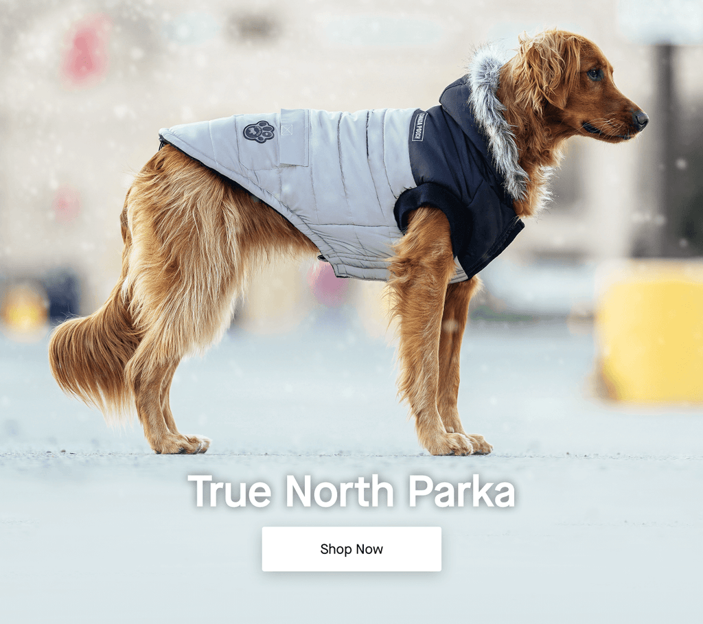 Canada Pooch Dog Clothes and Accessories Dog Apparel