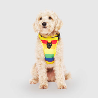 The Everything Harness Water Resistant Series in Rainbow, Canada Pooch Dog Harness