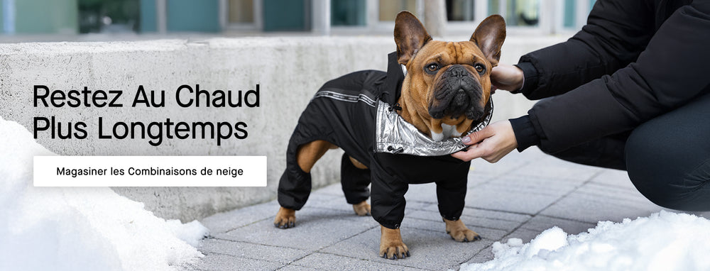 Dog wearing the Snow Suit from Canada Pooch in black