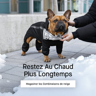 Dog wearing the Snow Suit from Canada Pooch in black