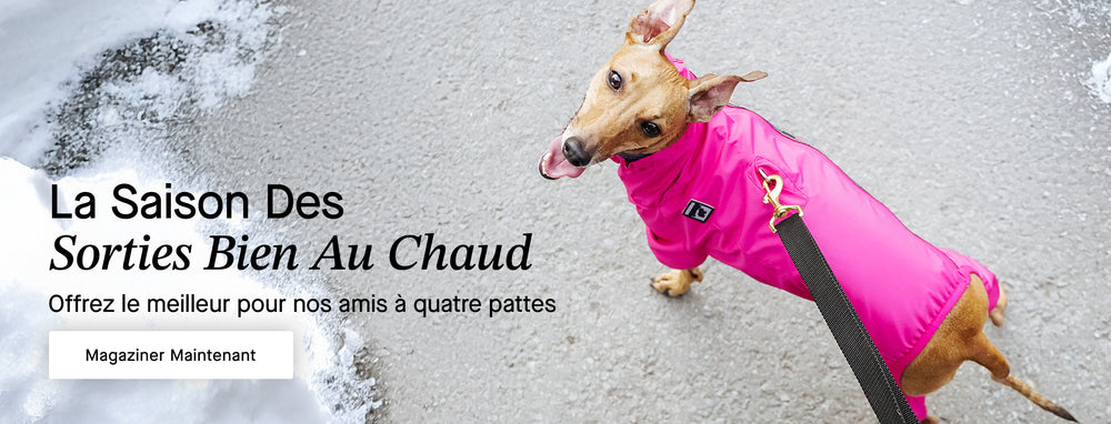 Petit chien portant une combinaison de neige Canada Pooch noire