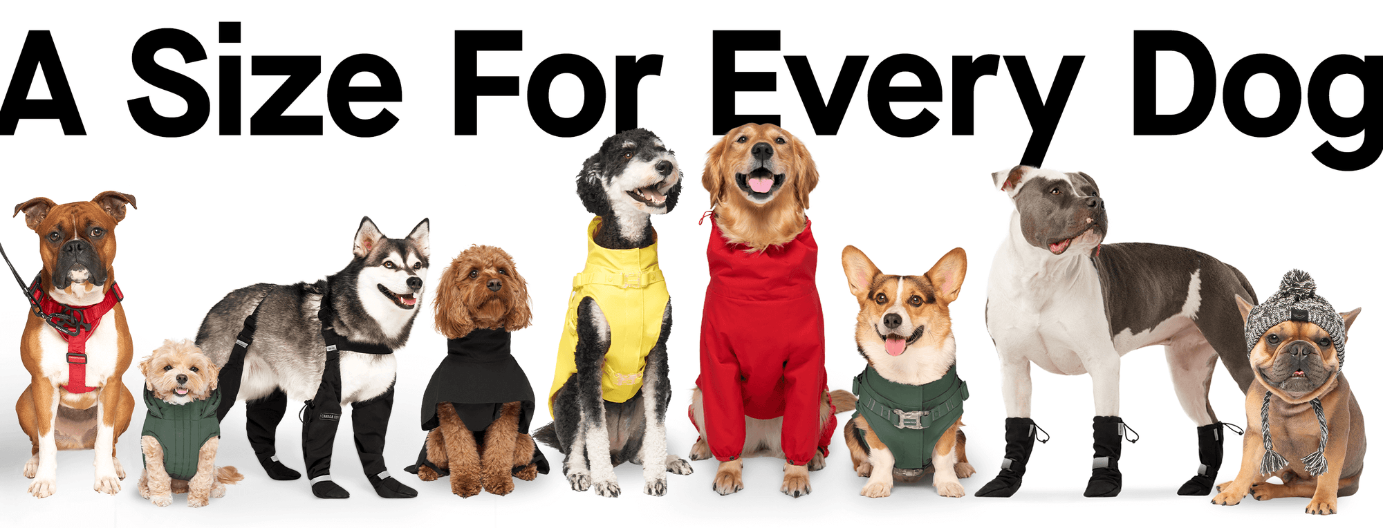 Dog Clothes Sizing Chart Canada Pooch