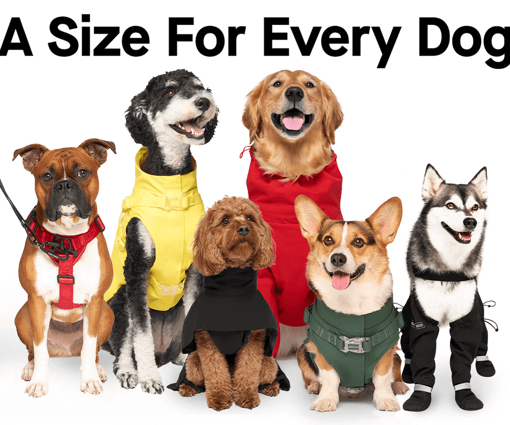 Dog Clothes Sizing Chart Canada Pooch