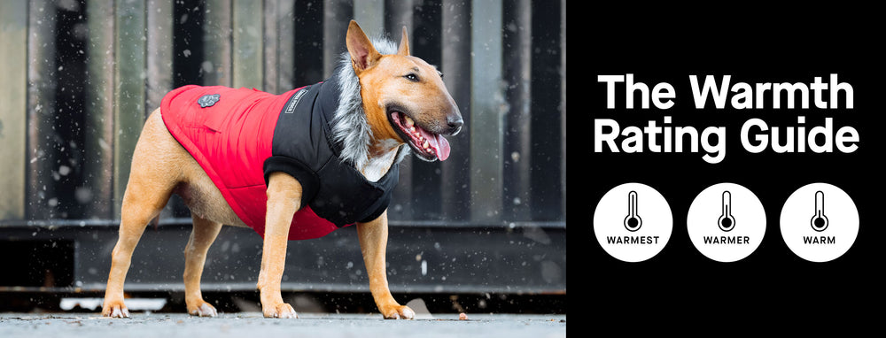 Which parka is right for your dog?