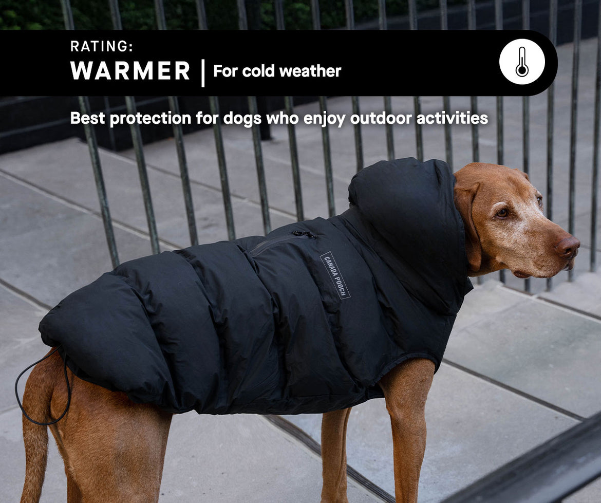 Warmer Dog Parkas