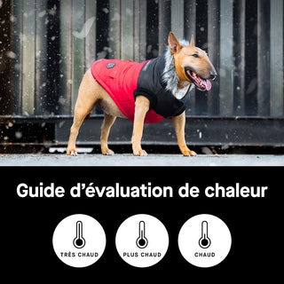 Quelle parka convient à votre chien ?