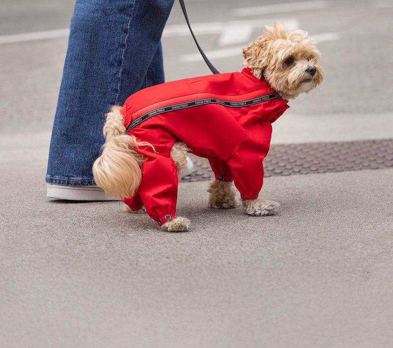 25% de réduction sur le costume Slush