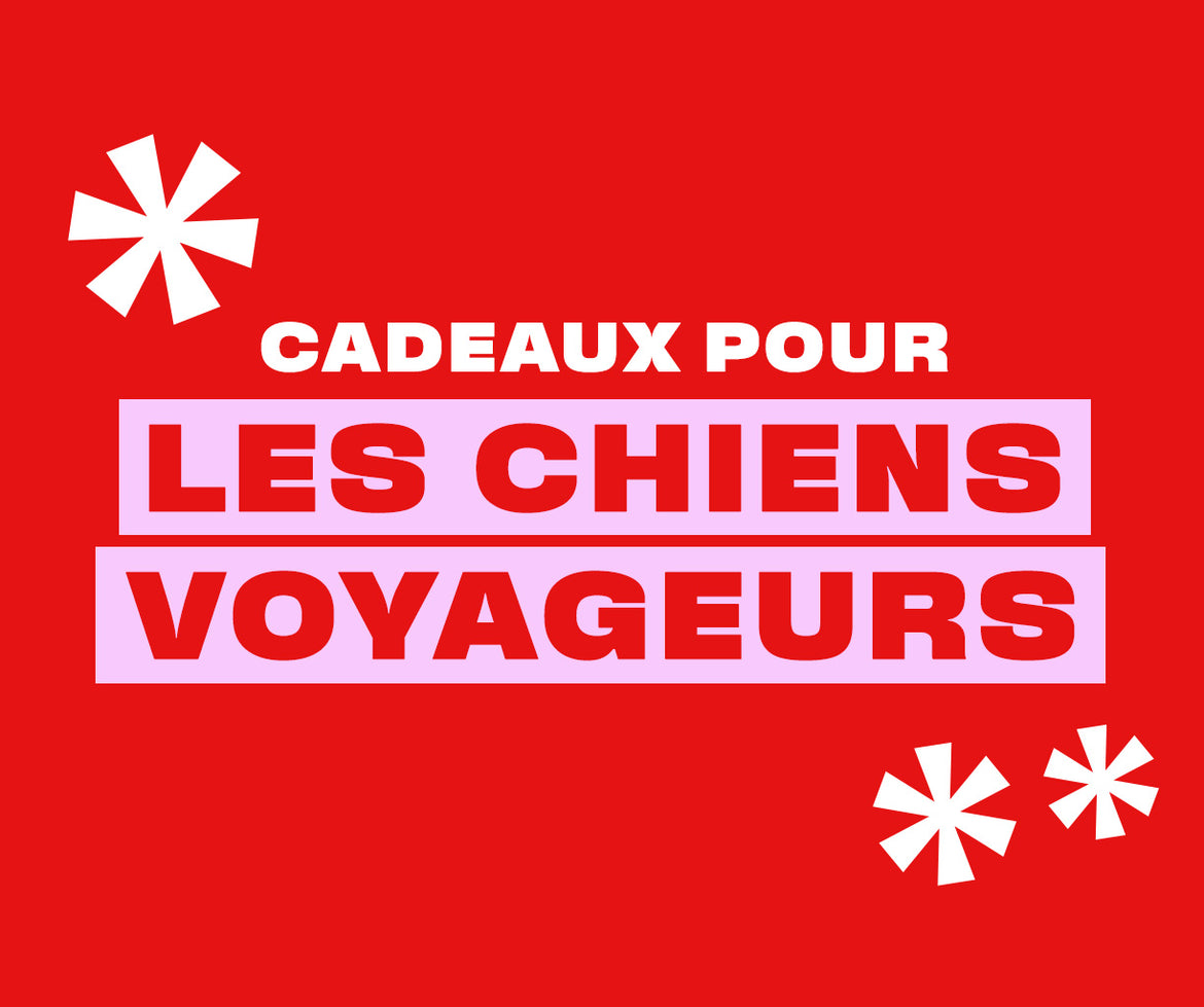 Gifts for easy pet travelling